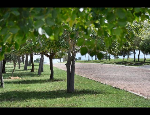 LAND FOR SALE IN KYALAMI AH